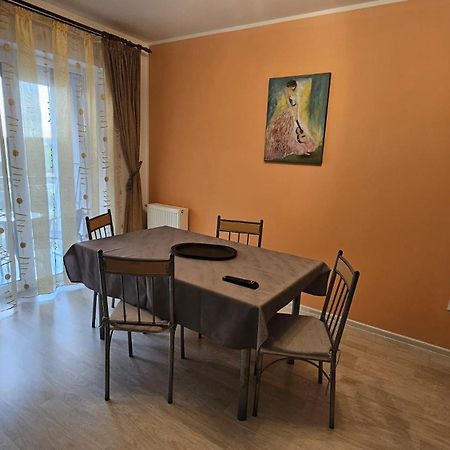 Elissa Apartment Брашов Экстерьер фото