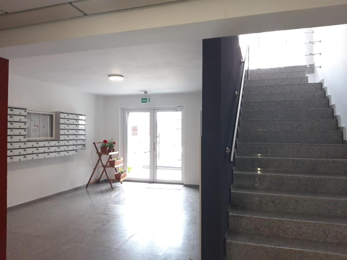 Elissa Apartment Брашов Экстерьер фото